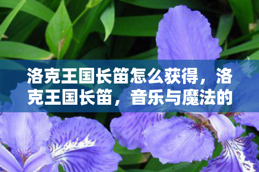 洛克王国长笛怎么获得,洛克王国长笛,音乐与魔法的交响曲 洛克王国长笛怎么获得,洛克王国长笛,音乐与魔法的交响曲