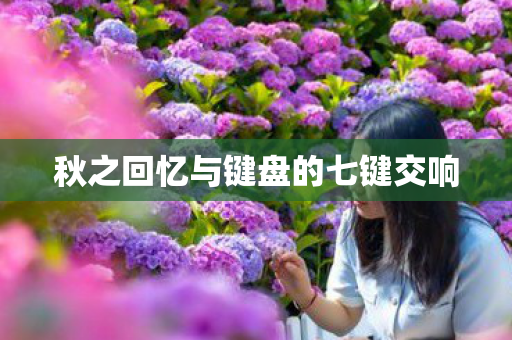 秋之回忆与键盘的七键交响 秋之回忆与键盘的七键交响