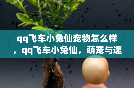 qq飞车小兔仙宠物怎么样,qq飞车小兔仙,萌宠与速度的梦幻交织 qq飞车小兔仙宠物怎么样,qq飞车小兔仙,萌宠与速度的梦幻交织