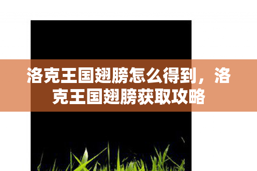 洛克王国翅膀怎么得到，洛克王国翅膀获取攻略