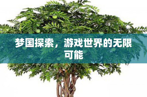 梦国探索,游戏世界的无限可能 梦国探索,游戏世界的无限可能