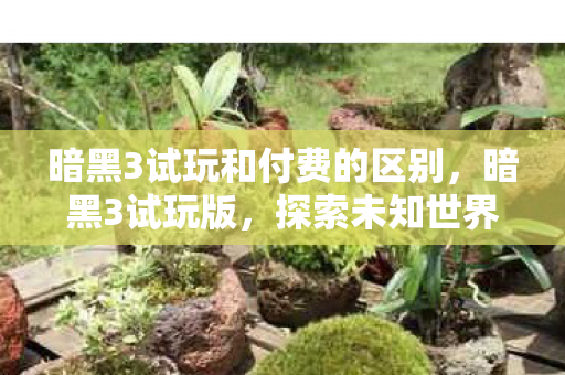 暗黑3试玩和付费的区别,暗黑3试玩版,探索未知世界的奇妙之旅 暗黑3试玩和付费的区别,暗黑3试玩版,探索未知世界的奇妙之旅