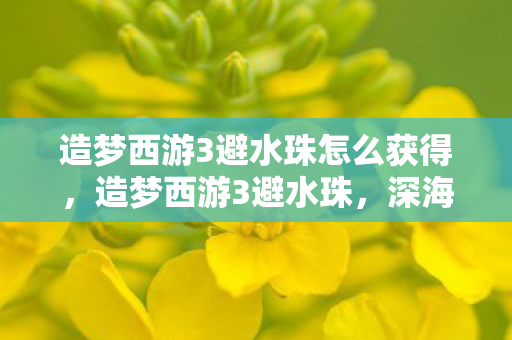 造梦西游3避水珠怎么获得,造梦西游3避水珠,深海探秘的神奇宝物 造梦西游3避水珠怎么获得,造梦西游3避水珠,深海探秘的神奇宝物