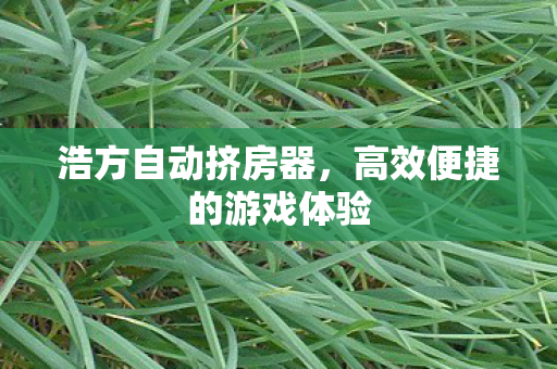 浩方自动挤房器,高效便捷的游戏体验 浩方自动挤房器,高效便捷的游戏体验