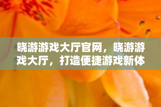 晓游游戏大厅官网,晓游游戏大厅,打造便捷游戏新体验 晓游游戏大厅官网,晓游游戏大厅,打造便捷游戏新体验