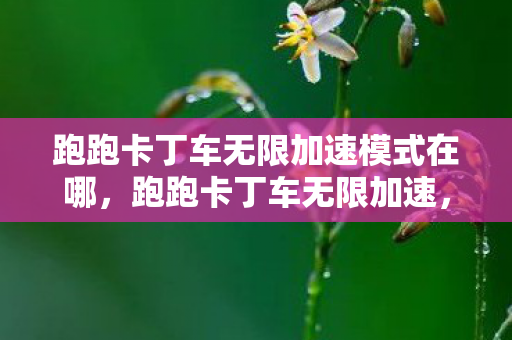 跑跑卡丁车无限加速模式在哪,跑跑卡丁车无限加速,解锁极速乐趣,畅享无限驾驶 跑跑卡丁车无限加速模式在哪,跑跑卡丁车无限加速,解锁极速乐趣,畅享无限驾驶
