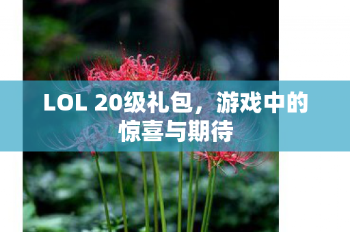 LOL 20级礼包,游戏中的惊喜与期待 LOL 20级礼包,游戏中的惊喜与期待