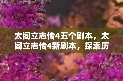 太阁立志传4五个剧本,太阁立志传4新剧本,探索历史与策略的全新篇章 太阁立志传4五个剧本,太阁立志传4新剧本,探索历史与策略的全新篇章