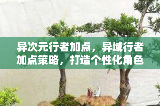 异次元行者加点，异域行者加点策略，打造个性化角色，探索未知领域