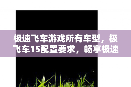 极速飞车游戏所有车型,极飞车15配置要求,畅享极速,你需要这些硬件支持 极速飞车游戏所有车型,极飞车15配置要求,畅享极速,你需要这些硬件支持