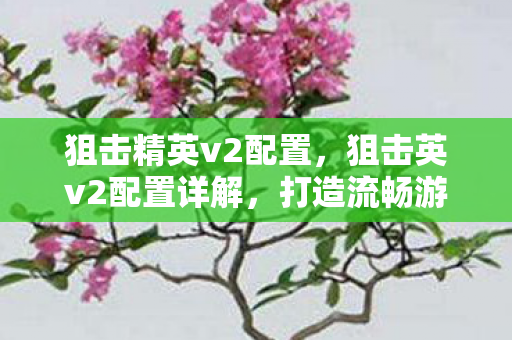 狙击精英v2配置,狙击英v2配置详解,打造流畅游戏体验的硬件指南 狙击精英v2配置,狙击英v2配置详解,打造流畅游戏体验的硬件指南
