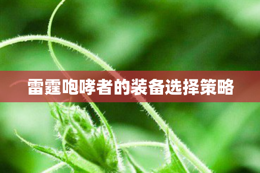 雷霆咆哮者的装备选择策略 雷霆咆哮者的装备选择策略