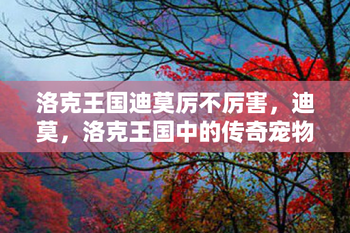 洛克王国迪莫厉不厉害,迪莫,洛克王国中的传奇宠物 洛克王国迪莫厉不厉害,迪莫,洛克王国中的传奇宠物