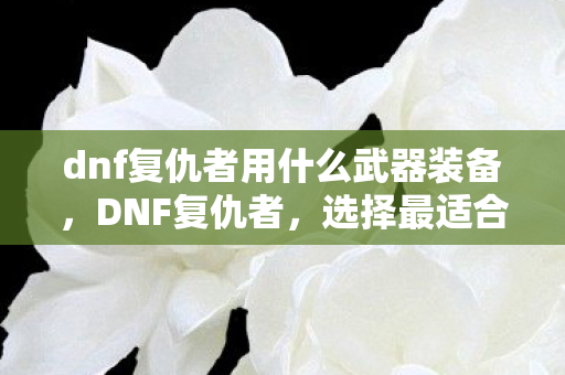 dnf复仇者用什么武器装备,DNF复仇者,选择最适合的武器 dnf复仇者用什么武器装备,DNF复仇者,选择最适合的武器