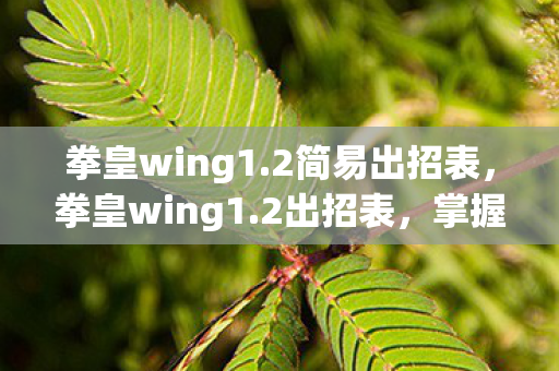 拳皇wing1.2简易出招表,拳皇wing1.2出招表,掌握经典格斗技巧 拳皇wing1.2简易出招表,拳皇wing1.2出招表,掌握经典格斗技巧