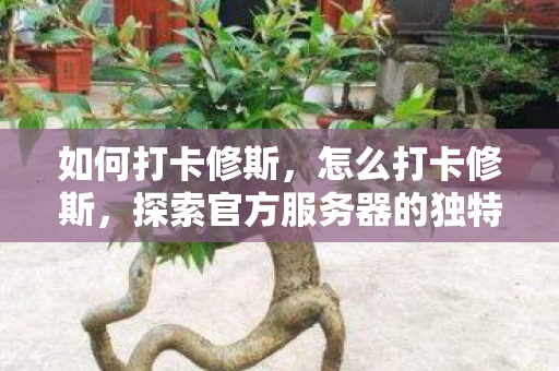 如何打卡修斯,怎么打卡修斯,探索官方服务器的独特魅力与玩法 如何打卡修斯,怎么打卡修斯,探索官方服务器的独特魅力与玩法