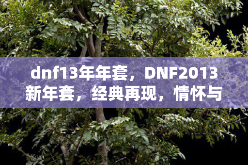 dnf13年年套,DNF2013新年套,经典再现,情怀与实力并存 dnf13年年套,DNF2013新年套,经典再现,情怀与实力并存