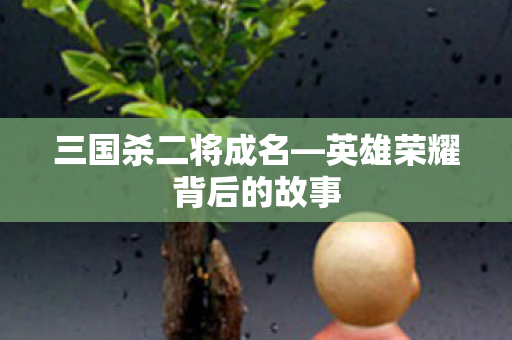 三国杀二将成名—英雄荣耀背后的故事