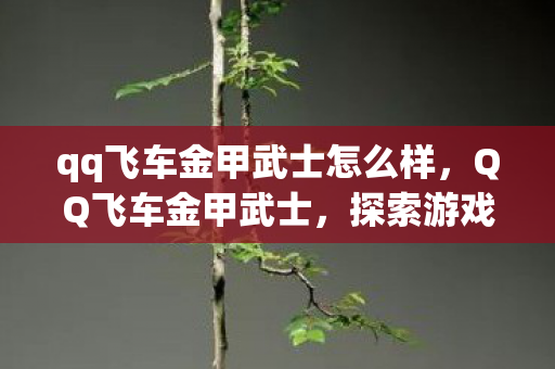 qq飞车金甲武士怎么样,QQ飞车金甲武士,探索游戏世界的机械美学 qq飞车金甲武士怎么样,QQ飞车金甲武士,探索游戏世界的机械美学
