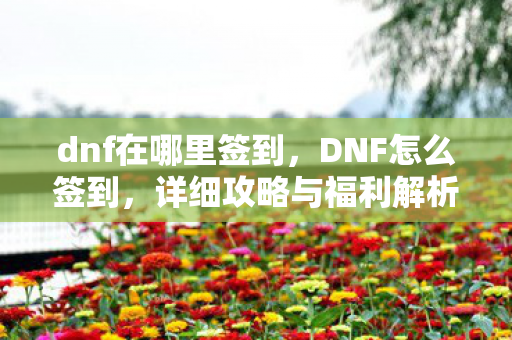 dnf在哪里签到,DNF怎么签到,详细攻略与福利解析 dnf在哪里签到,DNF怎么签到,详细攻略与福利解析