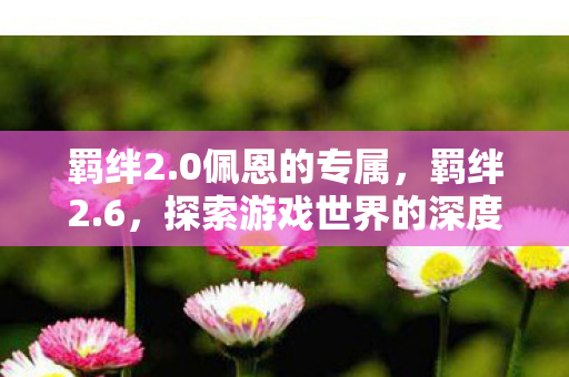 羁绊2.0佩恩的专属,羁绊2.6,探索游戏世界的深度与广度 羁绊2.0佩恩的专属,羁绊2.6,探索游戏世界的深度与广度