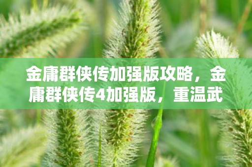 金庸群侠传加强版攻略，金庸群侠传4加强版，重温武侠梦，再续江湖情