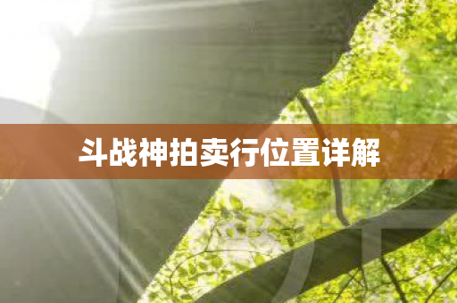 斗战神拍卖行位置详解 斗战神拍卖行位置详解
