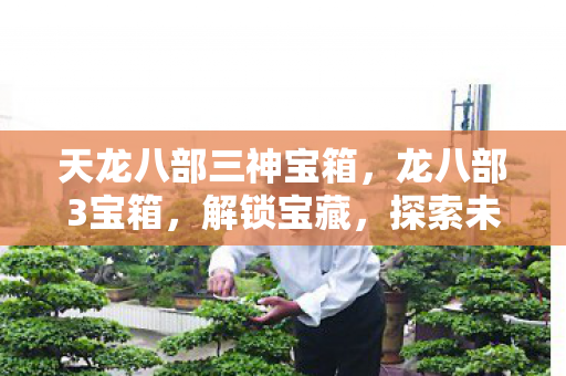 天龙八部三神宝箱,龙八部3宝箱,解锁宝藏,探索未知世界的钥匙 天龙八部三神宝箱,龙八部3宝箱,解锁宝藏,探索未知世界的钥匙