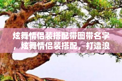 炫舞情侣装搭配带图带名字，炫舞情侣装搭配，打造浪漫满分的双人时尚