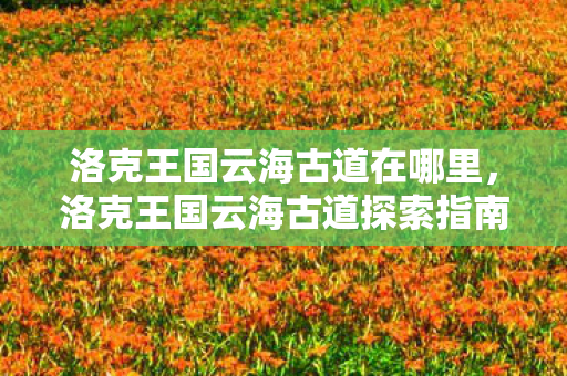 洛克王国云海古道在哪里,洛克王国云海古道探索指南 洛克王国云海古道在哪里,洛克王国云海古道探索指南