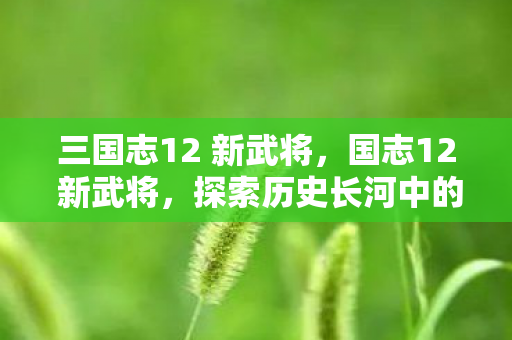三国志12 新武将，国志12 新武将，探索历史长河中的英雄豪杰