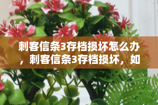 刺客信条3存档损坏怎么办,刺客信条3存档损坏,如何有效恢复与预防 刺客信条3存档损坏怎么办,刺客信条3存档损坏,如何有效恢复与预防