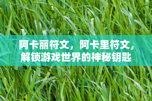 阿卡丽符文,阿卡里符文,解锁游戏世界的神秘钥匙 阿卡丽符文,阿卡里符文,解锁游戏世界的神秘钥匙