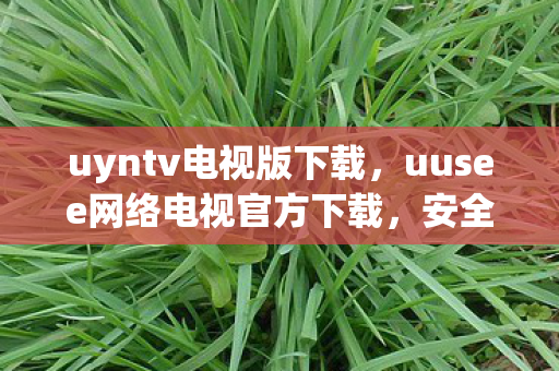 uyntv电视版下载，uusee网络电视官方下载，安全、便捷、高效的观影体验