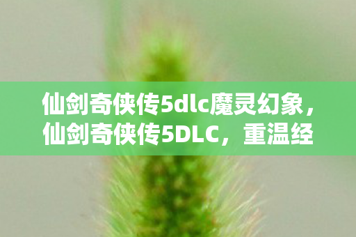 仙剑奇侠传5dlc魔灵幻象,仙剑奇侠传5DLC,重温经典,续写传奇 仙剑奇侠传5dlc魔灵幻象,仙剑奇侠传5DLC,重温经典,续写传奇
