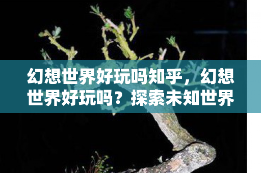 幻想世界好玩吗知乎,幻想世界好玩吗?探索未知世界的无限乐趣 幻想世界好玩吗知乎,幻想世界好玩吗?探索未知世界的无限乐趣