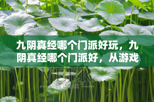 九阴真经哪个门派好玩，九阴真经哪个门派好，从游戏体验到门派特色全面剖析