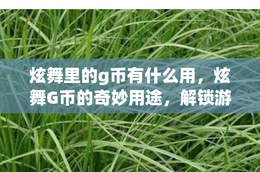 炫舞里的g币有什么用，炫舞G币的奇妙用途，解锁游戏新世界的钥匙