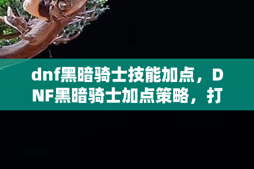 dnf黑暗骑士技能加点，DNF黑暗骑士加点策略，打造高效战斗力的关键
