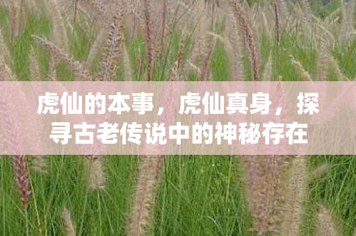 虎仙的本事,虎仙真身,探寻古老传说中的神秘存在 虎仙的本事,虎仙真身,探寻古老传说中的神秘存在