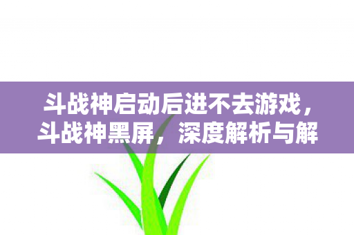 斗战神启动后进不去游戏，斗战神黑屏，深度解析与解决方案