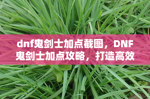 dnf鬼剑士加点截图,DNF鬼剑士加点攻略,打造高效战斗力的关键 dnf鬼剑士加点截图,DNF鬼剑士加点攻略,打造高效战斗力的关键
