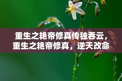 重生之艳帝修真传独吞云,重生之艳帝修真,逆天改命的修真之旅 重生之艳帝修真传独吞云,重生之艳帝修真,逆天改命的修真之旅