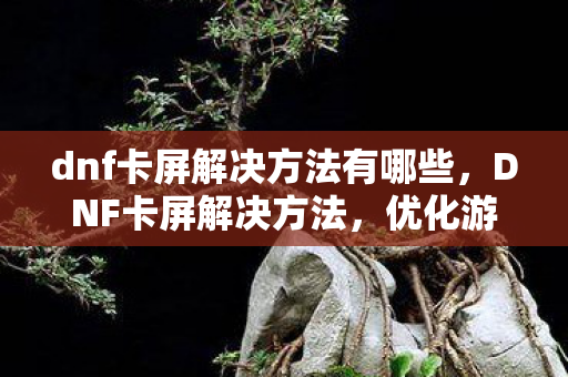 dnf卡屏解决方法有哪些，DNF卡屏解决方法，优化游戏性能，提升流畅度