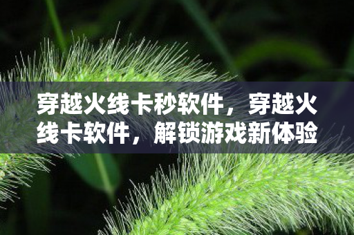 穿越火线卡秒软件，穿越火线卡软件，解锁游戏新体验，但需谨慎使用