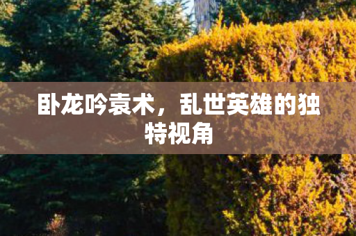 卧龙吟袁术,乱世英雄的独特视角 卧龙吟袁术,乱世英雄的独特视角