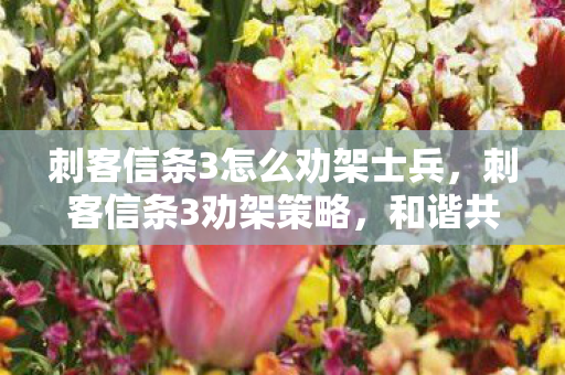 刺客信条3怎么劝架士兵,刺客信条3劝架策略,和谐共处的艺术 刺客信条3怎么劝架士兵,刺客信条3劝架策略,和谐共处的艺术