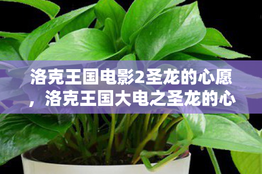 洛克王国电影2圣龙的心愿,洛克王国大电之圣龙的心愿,追寻力量的传奇之旅 洛克王国电影2圣龙的心愿,洛克王国大电之圣龙的心愿,追寻力量的传奇之旅