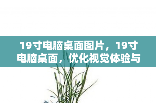 19寸电脑桌面图片,19寸电脑桌面,优化视觉体验与高效工作的完美结合 19寸电脑桌面图片,19寸电脑桌面,优化视觉体验与高效工作的完美结合