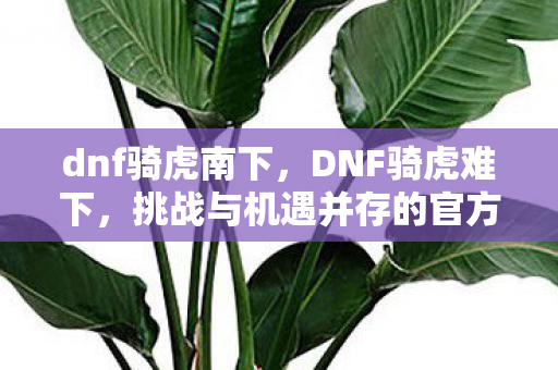 dnf骑虎南下,DNF骑虎难下,挑战与机遇并存的官方游戏生态 dnf骑虎南下,DNF骑虎难下,挑战与机遇并存的官方游戏生态